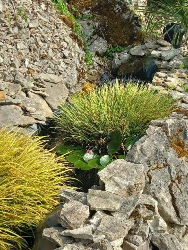 Les Allumettes D'Ecorsaint Eksteriør bilde
